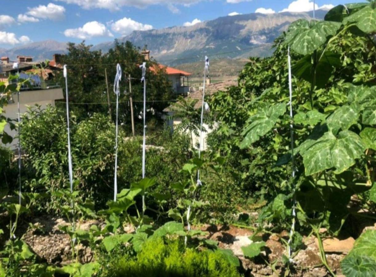 Miziriguesthouse Gjirokastra Kültér fotó